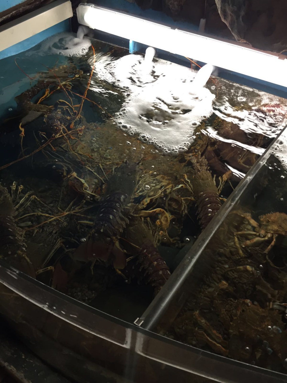 IMG-20160411-WA0001
